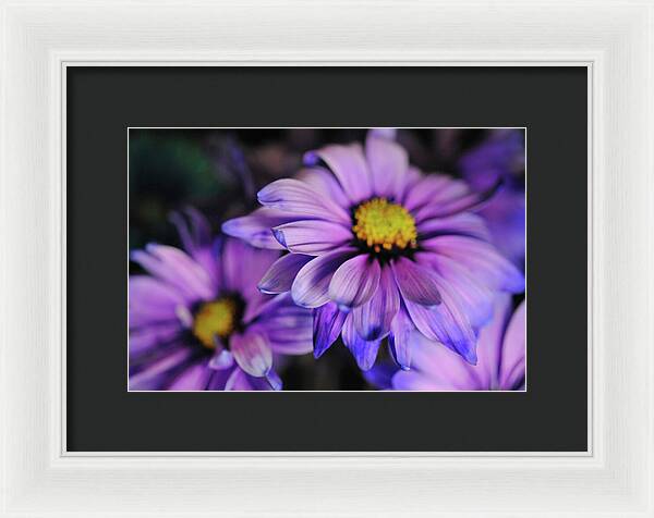 Raw Flowers 18 - Framed Print