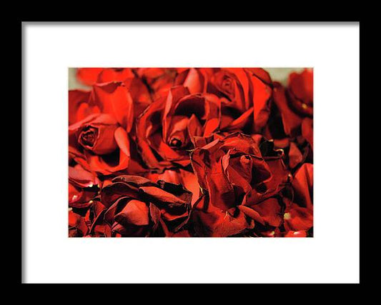 Raw Flowers 19 - Framed Print