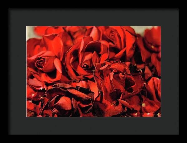 Raw Flowers 19 - Framed Print