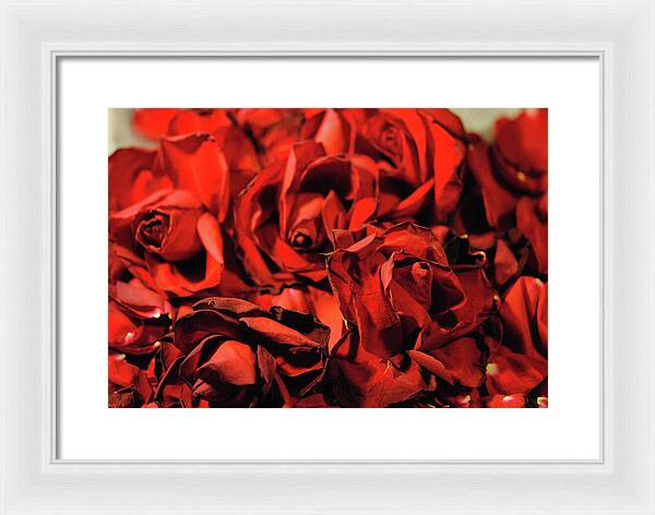 Raw Flowers 19 - Framed Print