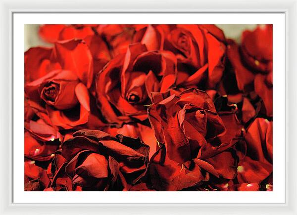 Raw Flowers 19 - Framed Print