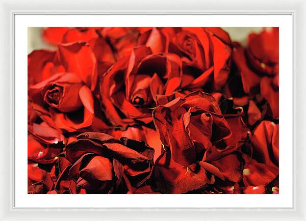 Raw Flowers 19 - Framed Print