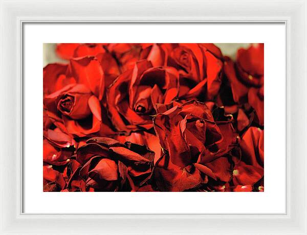 Raw Flowers 19 - Framed Print