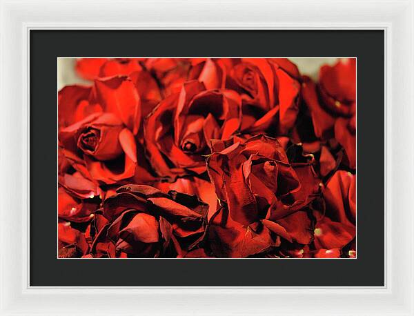 Raw Flowers 19 - Framed Print