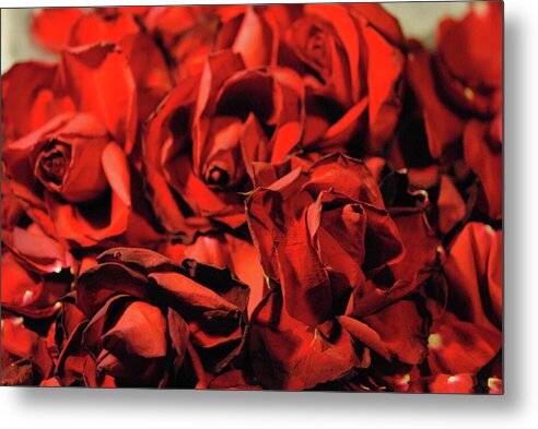 Raw Flowers 19 - Metal Print