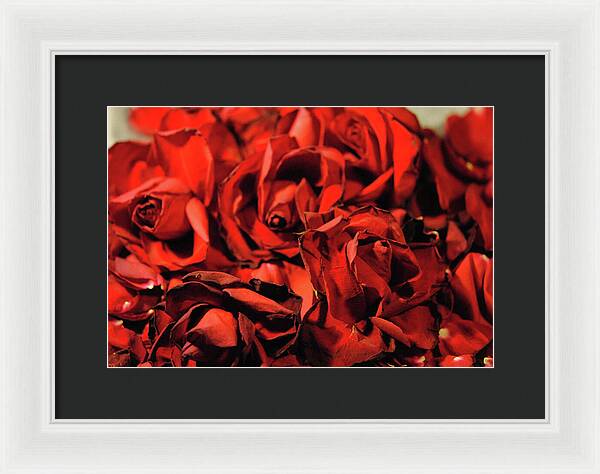 Raw Flowers 19 - Framed Print