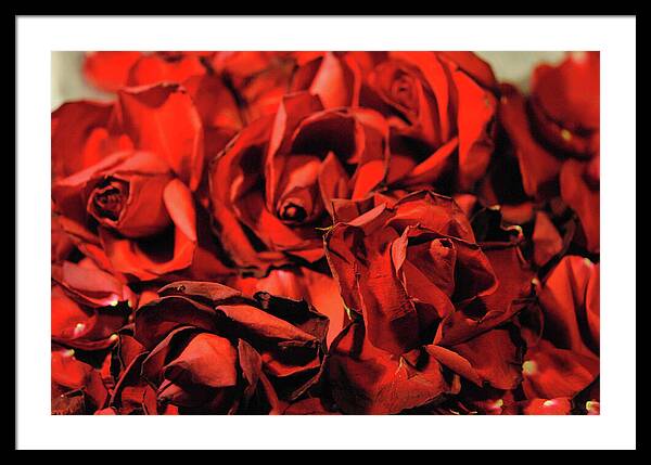 Raw Flowers 19 - Framed Print