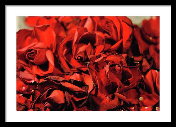 Raw Flowers 19 - Framed Print