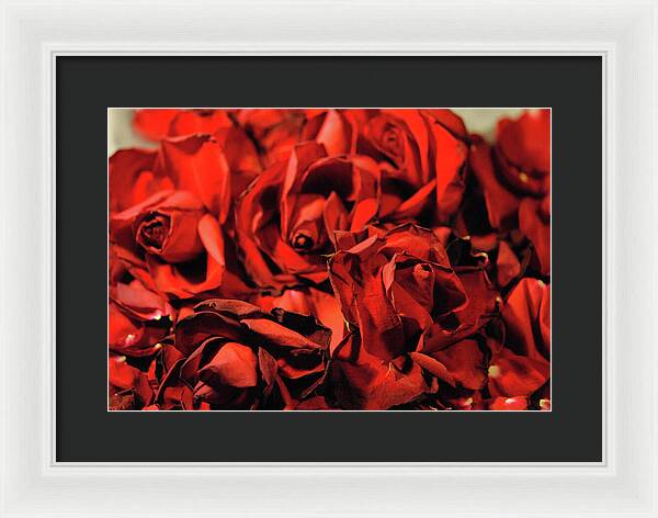 Raw Flowers 19 - Framed Print