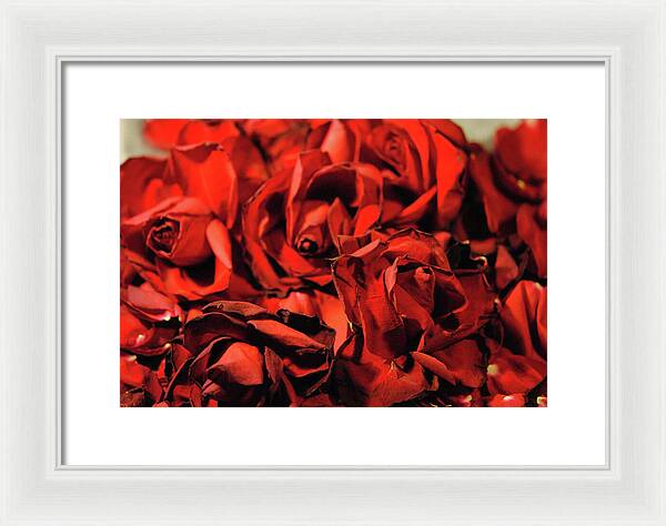 Raw Flowers 19 - Framed Print