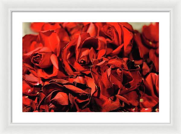 Raw Flowers 19 - Framed Print