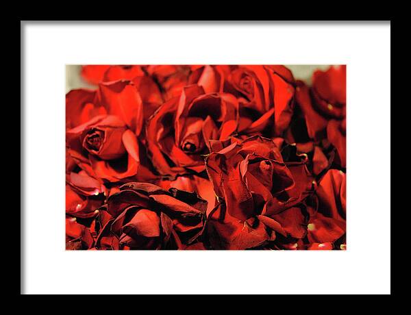 Raw Flowers 19 - Framed Print