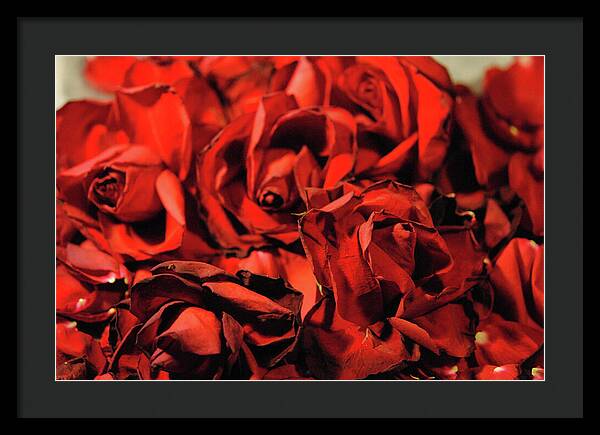 Raw Flowers 19 - Framed Print