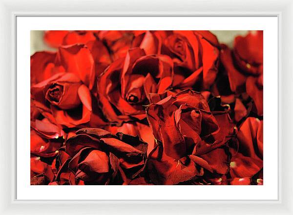 Raw Flowers 19 - Framed Print