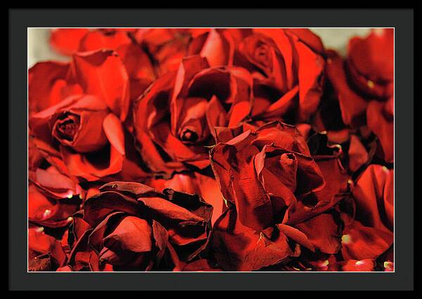 Raw Flowers 19 - Framed Print