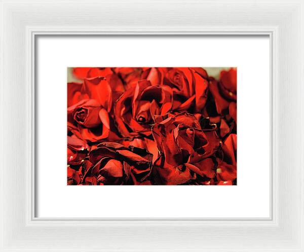 Raw Flowers 19 - Framed Print