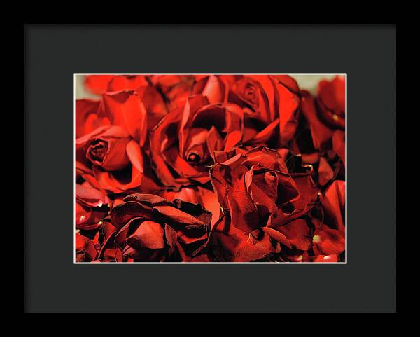 Raw Flowers 19 - Framed Print