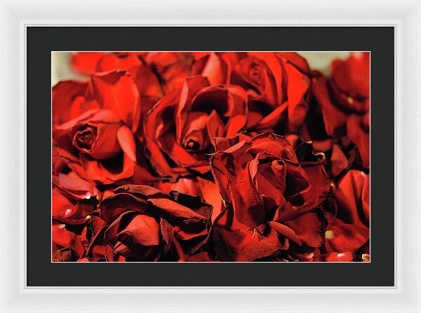 Raw Flowers 19 - Framed Print