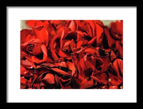 Raw Flowers 19 - Framed Print