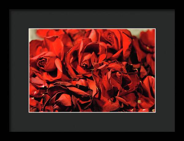 Raw Flowers 19 - Framed Print