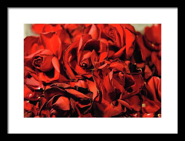 Raw Flowers 19 - Framed Print