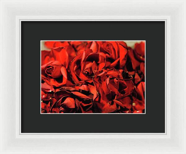 Raw Flowers 19 - Framed Print