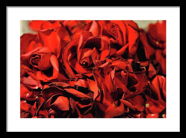 Raw Flowers 19 - Framed Print