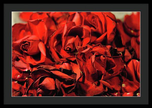 Raw Flowers 19 - Framed Print