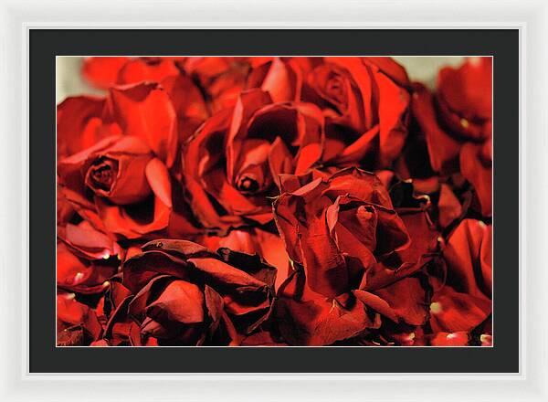 Raw Flowers 19 - Framed Print