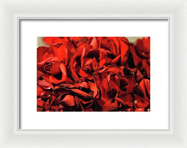 Raw Flowers 19 - Framed Print