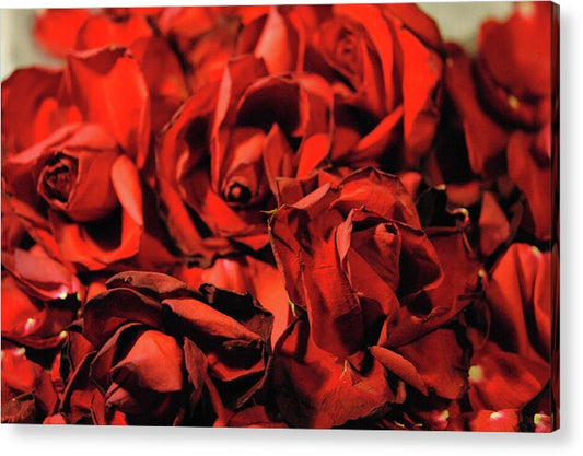 Raw Flowers 19 - Acrylic Print