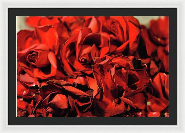 Raw Flowers 19 - Framed Print