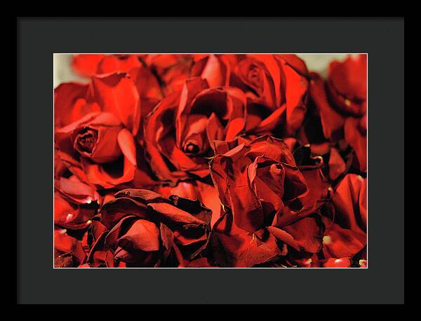 Raw Flowers 19 - Framed Print