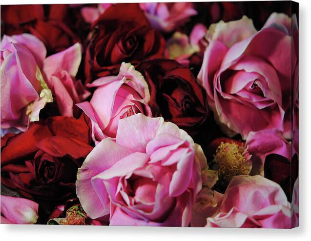 Raw Flowers 20 - Canvas Print