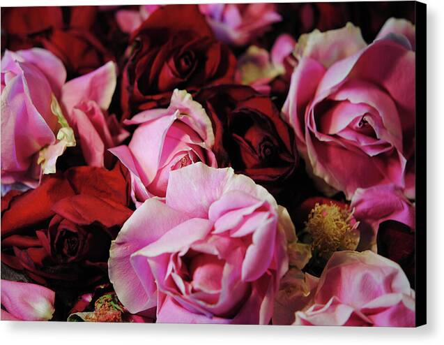 Raw Flowers 20 - Canvas Print