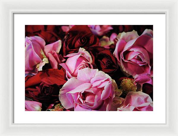 Raw Flowers 20 - Framed Print