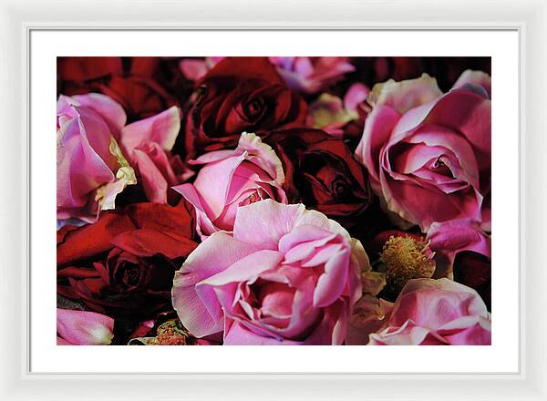 Raw Flowers 20 - Framed Print