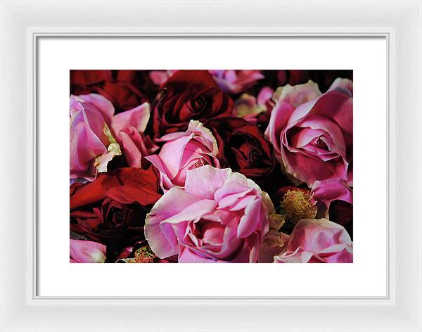 Raw Flowers 20 - Framed Print