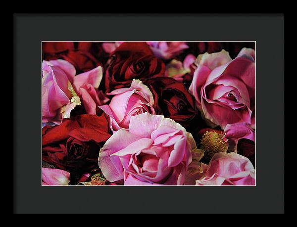 Raw Flowers 20 - Framed Print