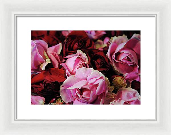 Raw Flowers 20 - Framed Print