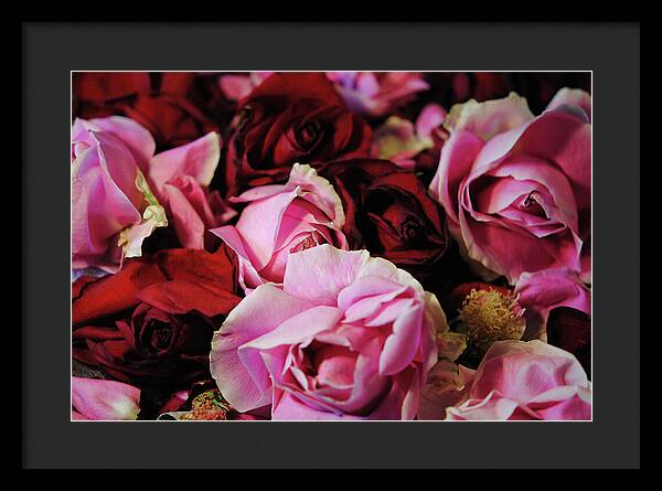 Raw Flowers 20 - Framed Print