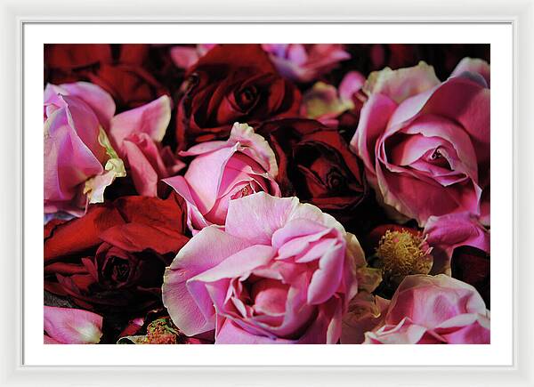 Raw Flowers 20 - Framed Print