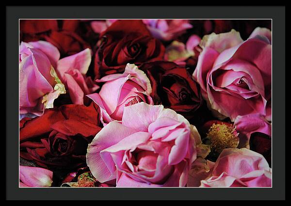 Raw Flowers 20 - Framed Print