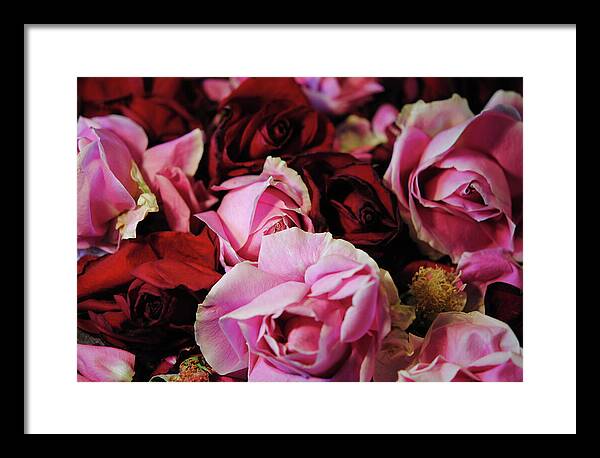 Raw Flowers 20 - Framed Print