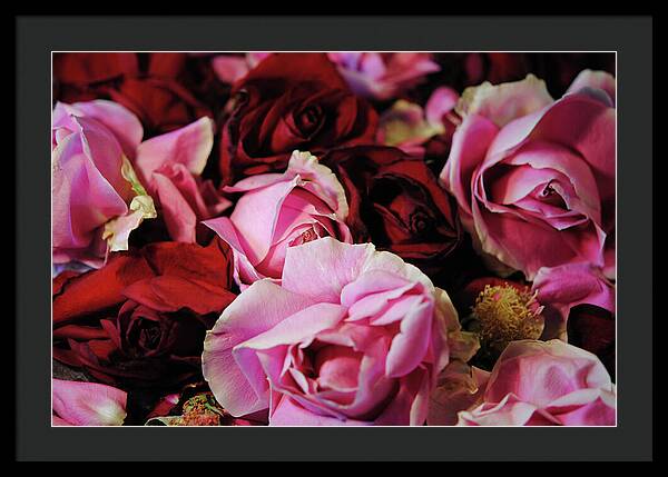 Raw Flowers 20 - Framed Print