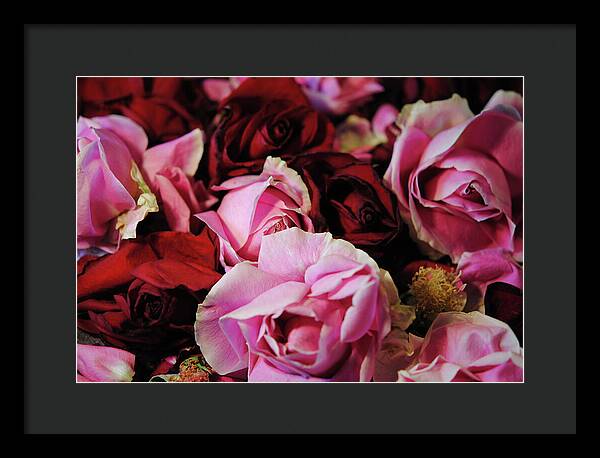 Raw Flowers 20 - Framed Print