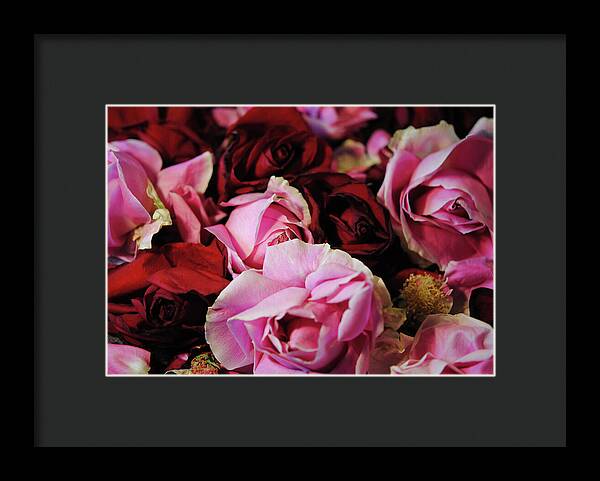 Raw Flowers 20 - Framed Print