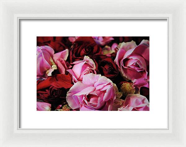 Raw Flowers 20 - Framed Print