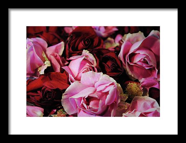 Raw Flowers 20 - Framed Print