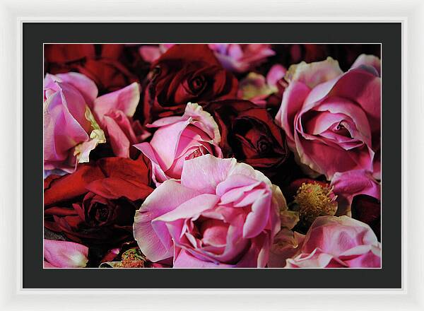 Raw Flowers 20 - Framed Print